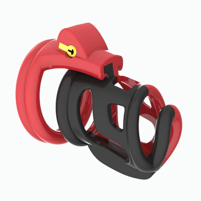 Ergonomic double ring male chastity cage with secure lock