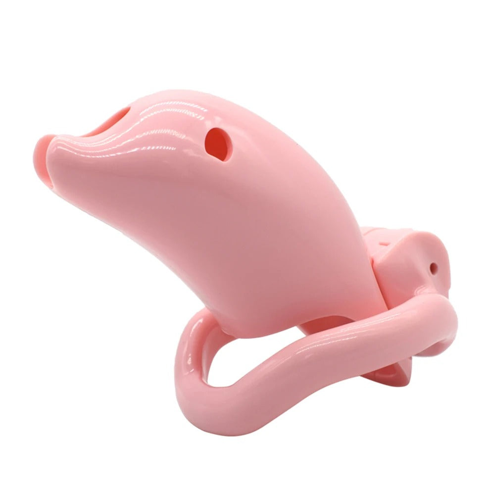 Plastic male chastity device with 4 size rings and color options