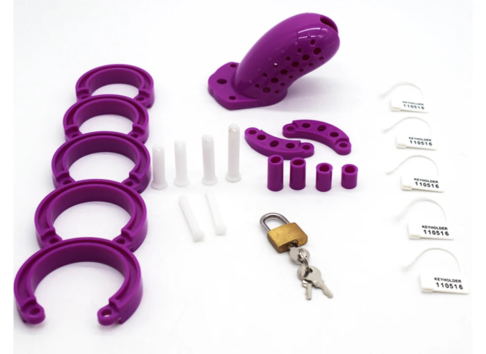 Porous Male Chastity Cage with 5 Rings – Lightweight Device with Brass Lock & Tags