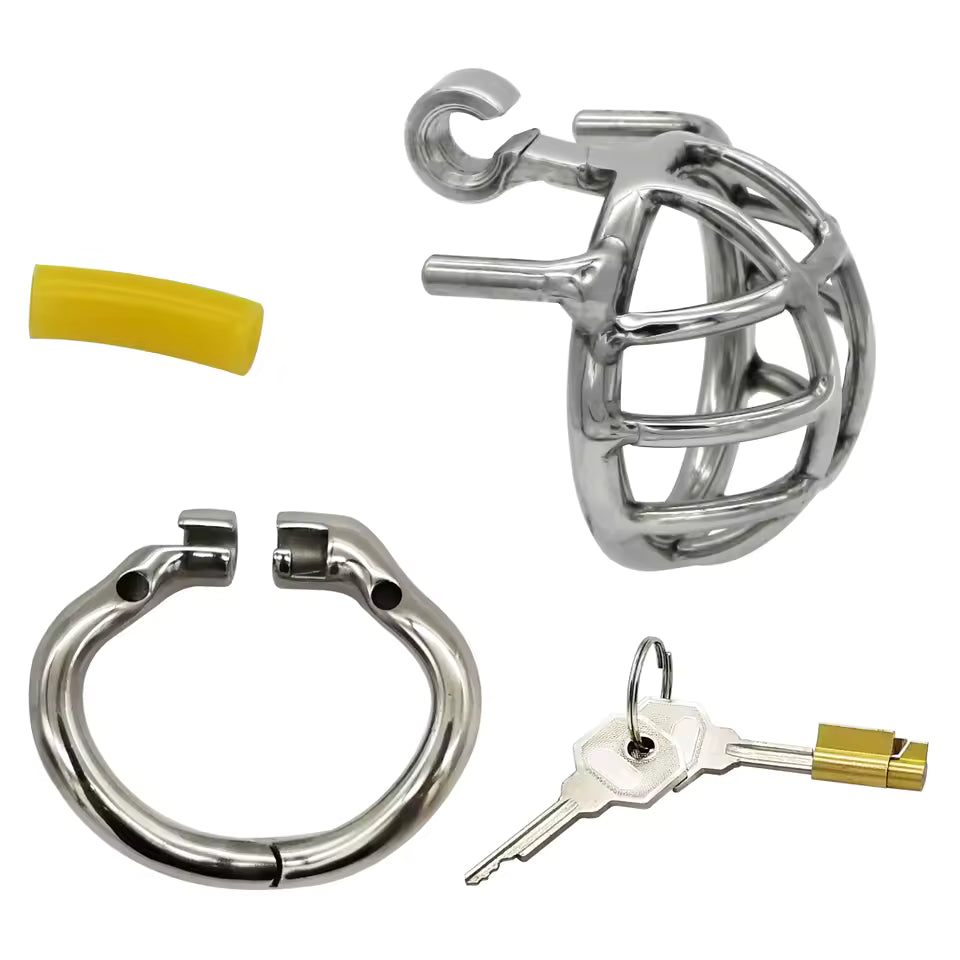 Metal chastity cage back view with secure locking mechanism