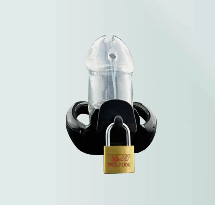Alt text: Stylish male chastity device in clear black and red color options