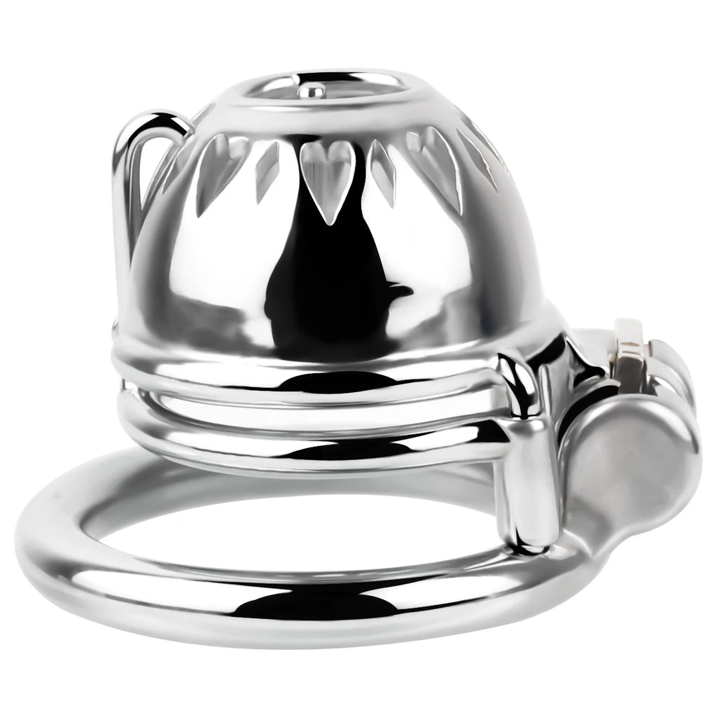 Metal Male Chastity Cage with PA Lock – 3mm/4mm Secure Device for Men