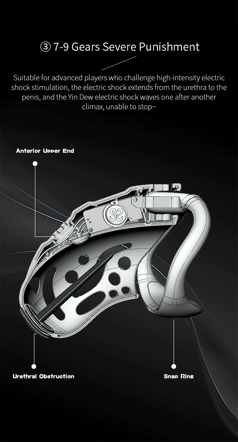 Remote Control Electric Chastity Cage – Male Locking Device with Plug & Adjustable Rings