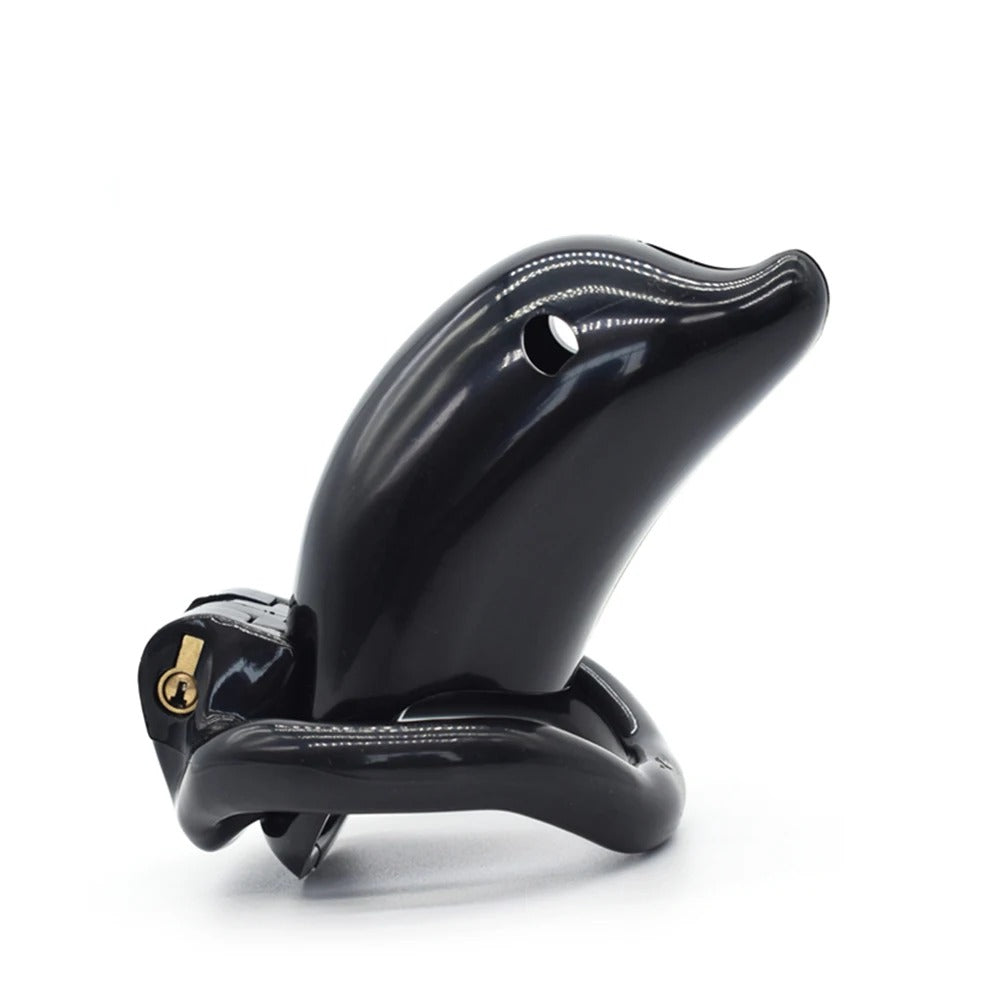 Adjustable male chastity device with brass lock and 2 keys