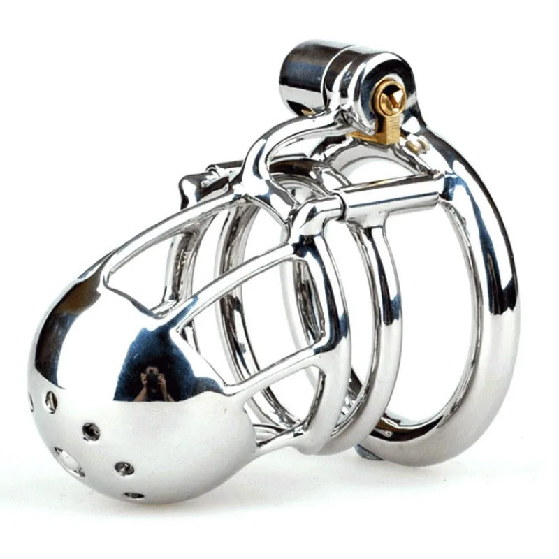 316 Stainless Steel Male PA Chastity Device with Ring