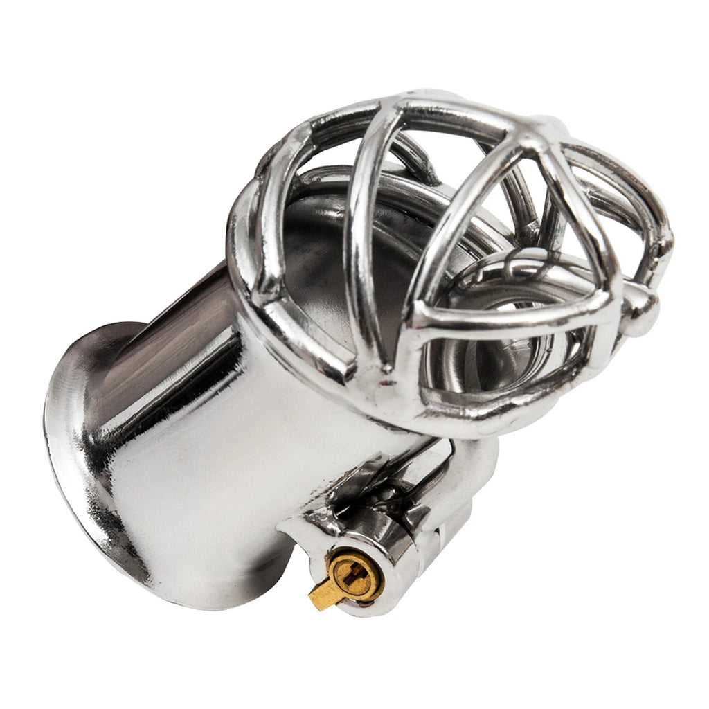Double Horse Ergonomic Stainless Steel Stealth Lock Male Chastity Device