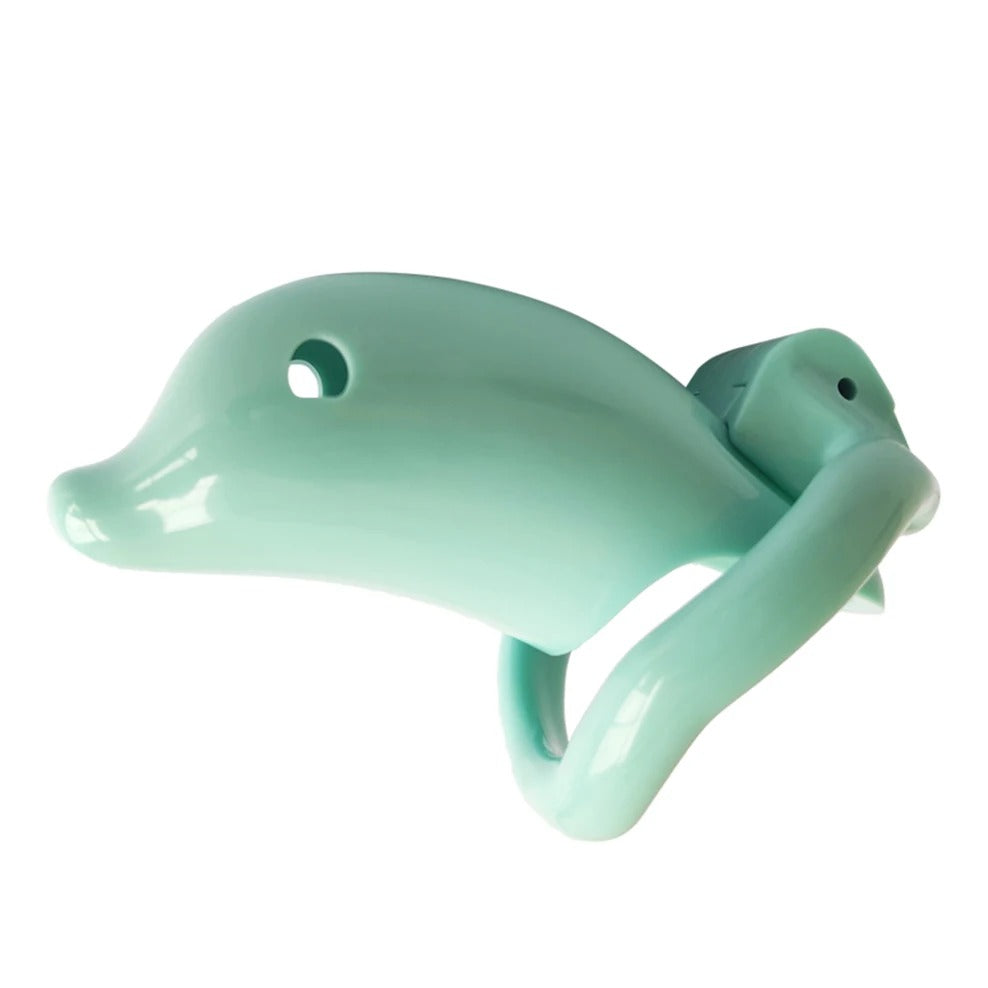 Discreet packaging for plastic male chastity cage with lock