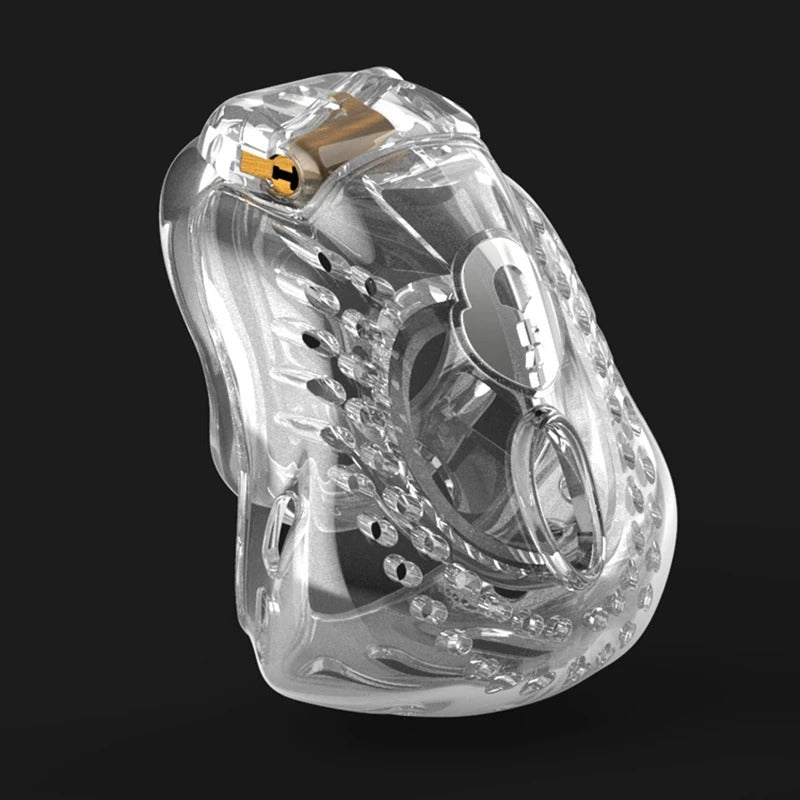 Male chastity device discreet packaging with lock and keys