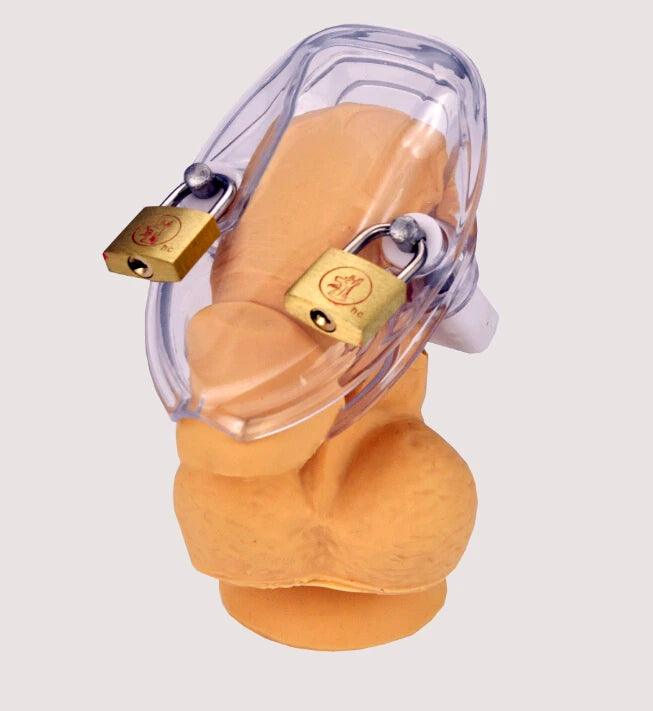 Durable male chastity device with stainless steel pins and strong back plate