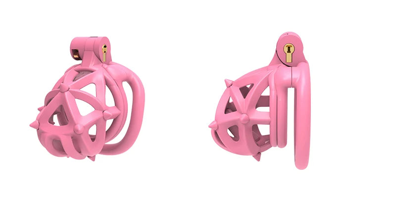Hedgehog chastity cage with four interchangeable nylon resin rings