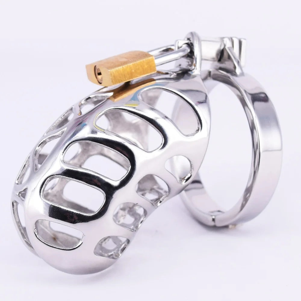 Small Stainless Steel Male Chastity Device with Cock Cage and Locking Ring