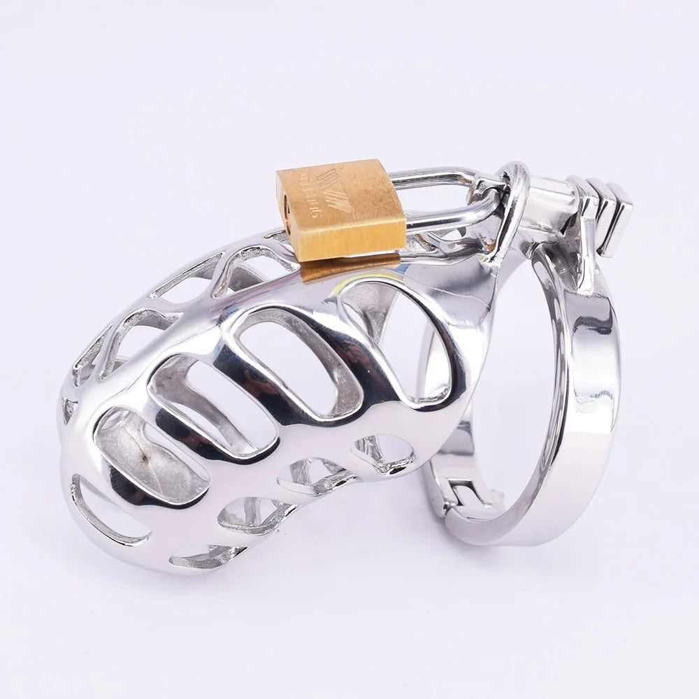 Small Stainless Steel Male Chastity Device with Cock Cage and Locking Ring