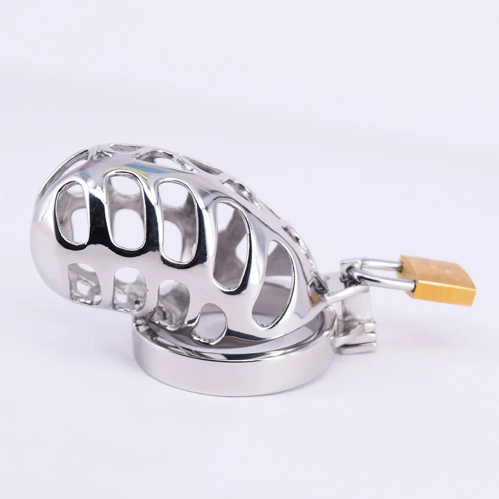 Small Stainless Steel Male Chastity Device with Cock Cage and Locking Ring