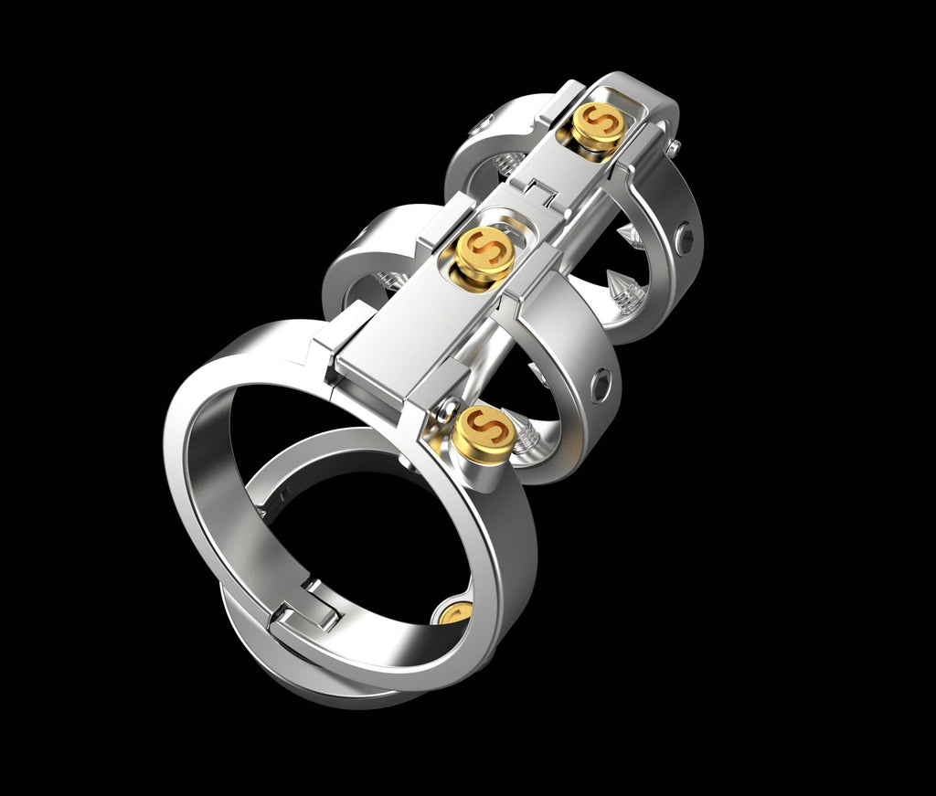 316 Stainless Steel Double Lock Male Chastity Device