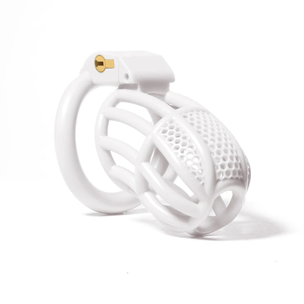 Master Series Male Chastity Device – Locking Cage with 4 Base Rings