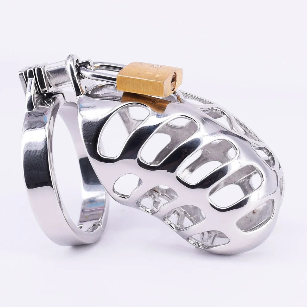 Small Stainless Steel Male Chastity Device with Cock Cage and Locking Ring