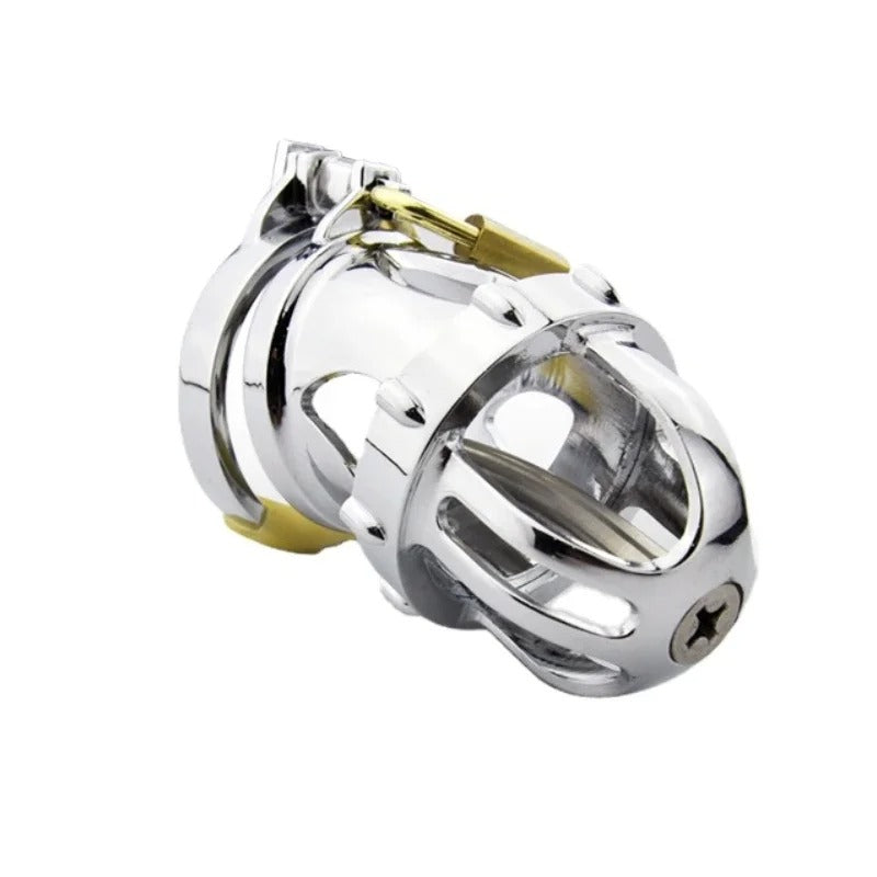 Male Chastity Device with Urethral Catheter and Locking Ring