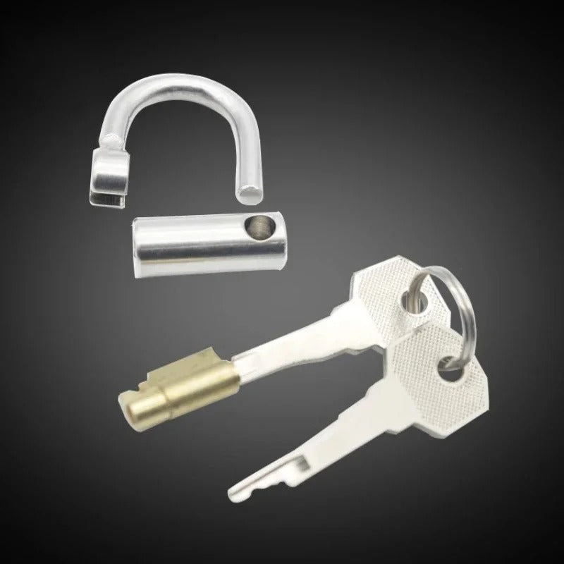 Luxury Stainless Steel Male Chastity Device with Titanium Plug PA Lock