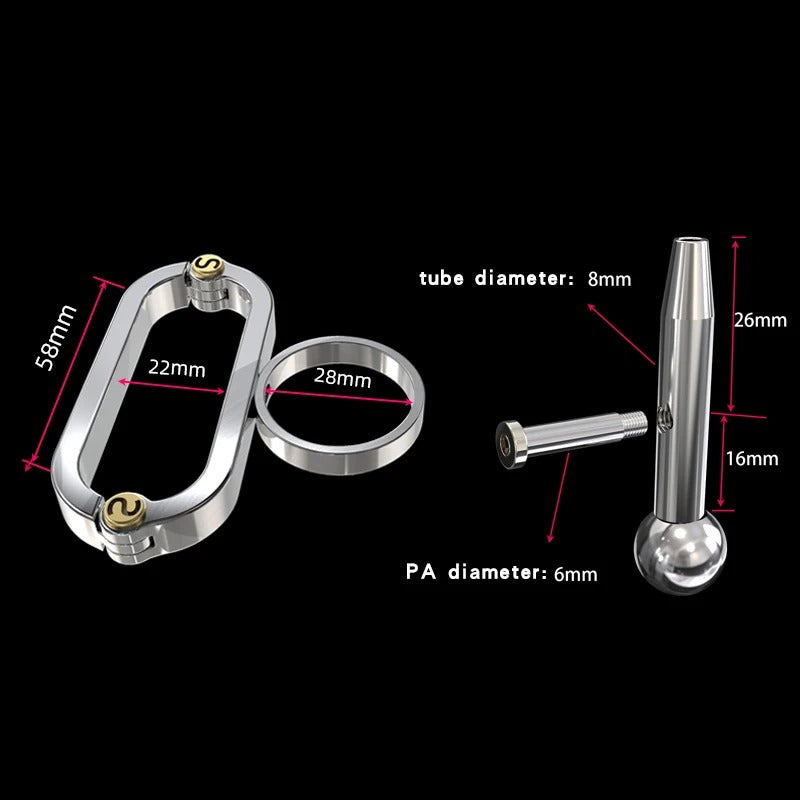 Stainless Steel COCKLE Male Chastity Device with Ring and Lock