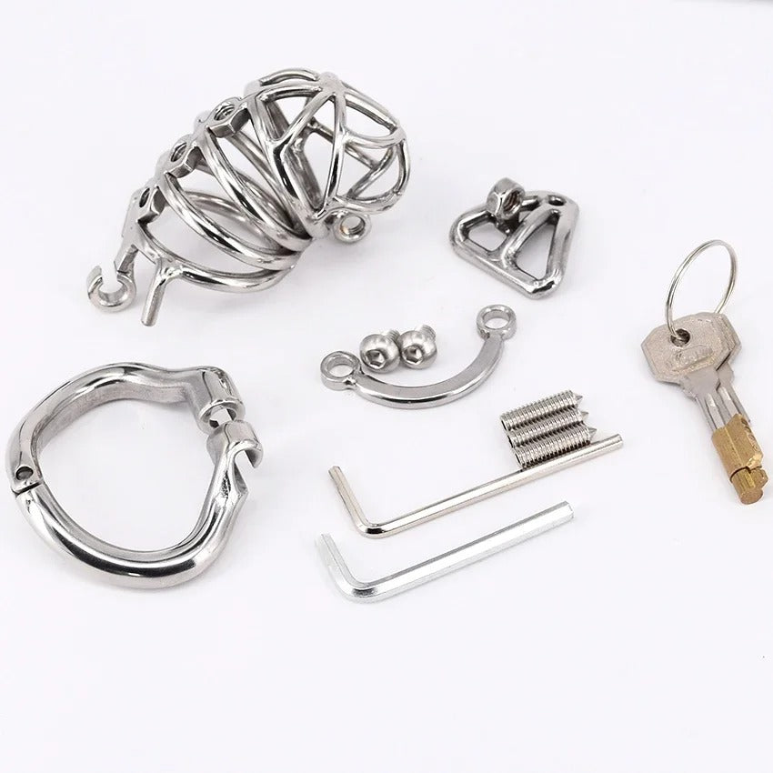 Stainless Steel Male Chastity Cage with Removable Spikes and Scrotum Stimulator