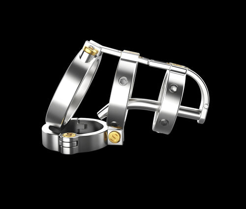 316 Stainless Steel Double Lock Male Chastity Device