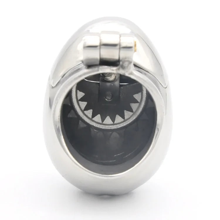 Egg Bondage Stainless Steel Male Chastity Device with Spiked Ring & Scrotum Stretcher – Secure Locking BDSM Restraint