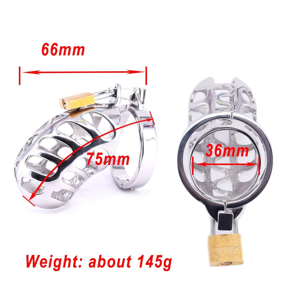 Small Stainless Steel Male Chastity Device with Cock Cage and Locking Ring
