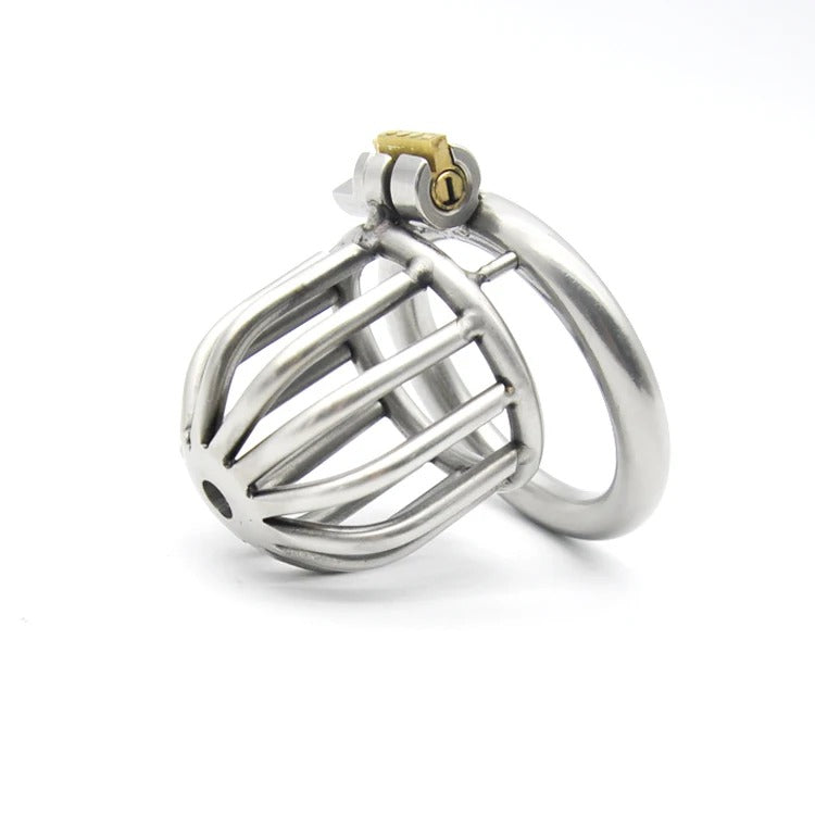 Stainless Steel Compact Male Chastity Device with Secure Lock