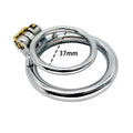 Stainless Steel Male Chastity Cage with Double Ring – Small Chastity Device