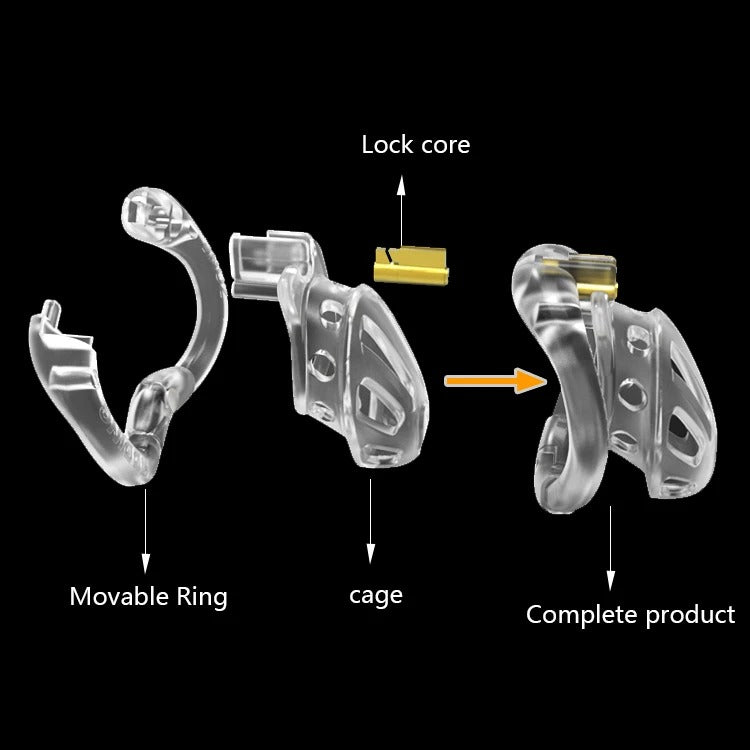 Openable chastity ring with four interchangeable sizes