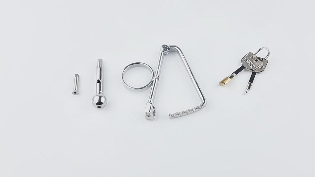 Stainless Steel COCKLE Male Chastity Device with Ring and Lock