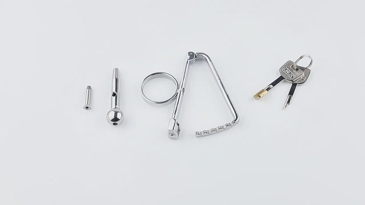Stainless Steel COCKLE Male Chastity Device with Ring and Lock