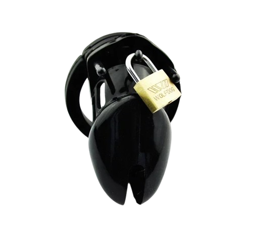 Discreet packaging of silicone chastity device