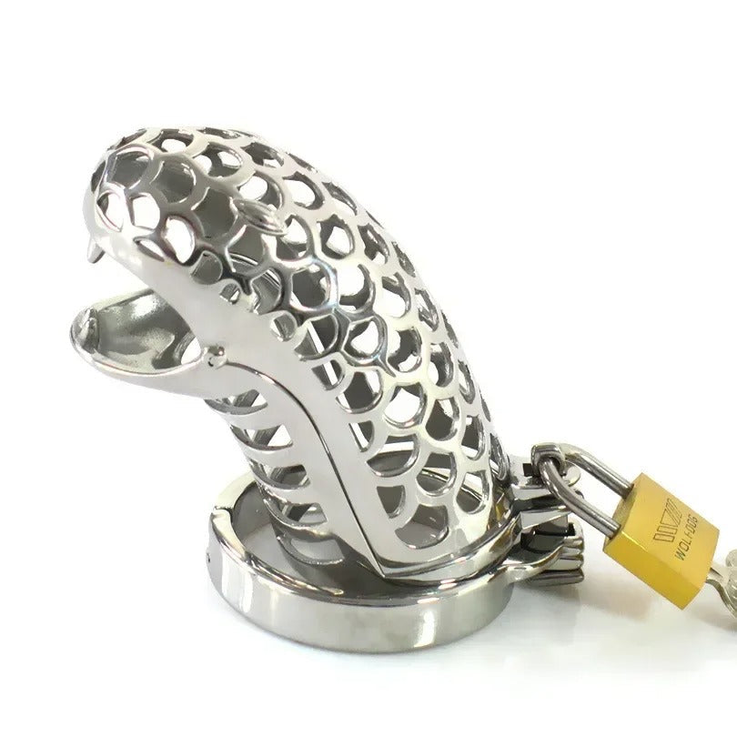 Stainless steel chastity device with snake head design
