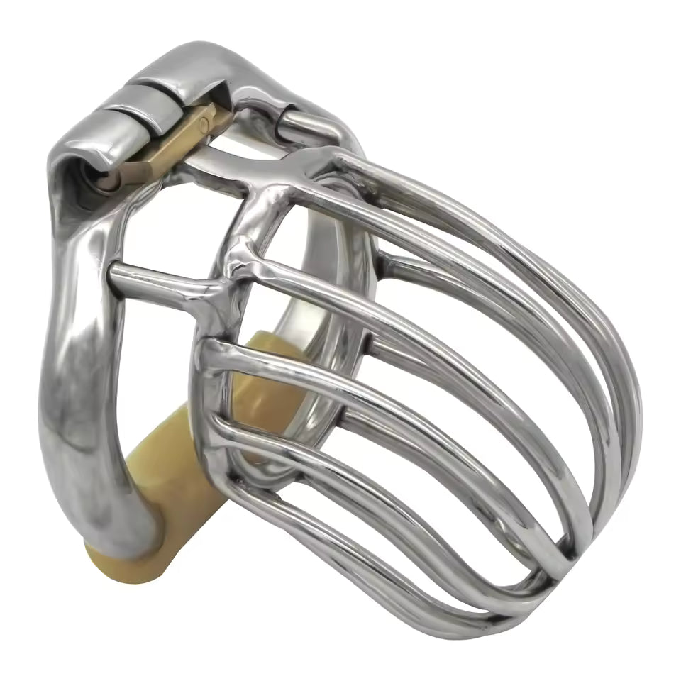 Secure stainless steel locking ring featuring anti shedding ring for added stability